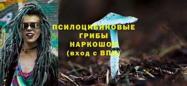 сатива Алексеевка