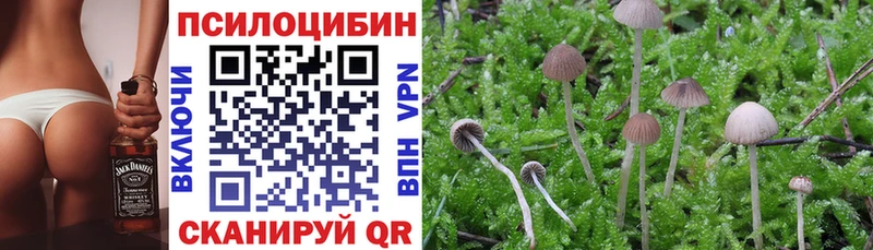 как найти закладки  darknet как зайти  Галлюциногенные грибы ЛСД  Еманжелинск 